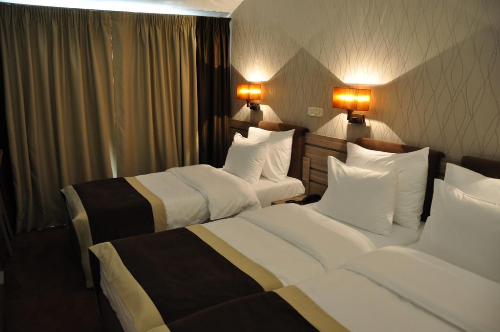 Hotel Danubia Park Veliko Gradište Pokoj fotografie
